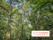 Les Nuits des Forêts 2023 en Seine-Saint-Denis (93) : Le programme