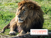 Halloween aux Parcs Zoologiques de Lumigny : Une Aventure Mystérieuse vous attend !