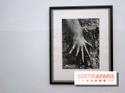 Sebastião Salgado présente son exposition "Genesis Platinum" à la Galerie Polka 