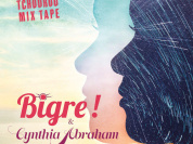 Bigre concert au New Morning