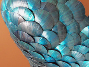 Brillance et transparence à la nouvelle galerie French Arts Factory