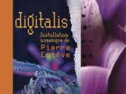 Digitalis de Pierre Estève à la Maison du docteur Gachet 