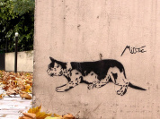 Chacun trouve son chat !