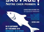 Affiche de l'expo Sauvage ! notre cher poisson