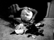 Exposition photo collective