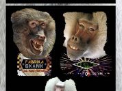 Co-plateau Ska-Punk / Jazz Progressif