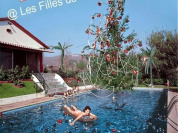 Le Noël des Copains