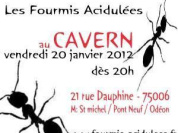concert rock Fourmis Acidulées