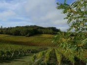 Salon des Vins et des Terroirs