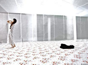 Festival Etrange Cargo