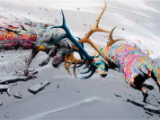 Le street artiste Brusk s'expose à Paris