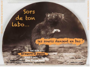 Bal folk/Trad'actuel avec le trio Qu'importe la Jument (QLJ)