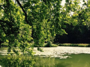 Festival des Fabriques au Parc Rousseau d'Ermenonville