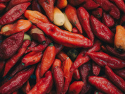 Spicy Festival Paris