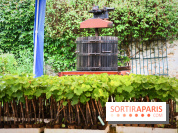 Domaine du bois brillant, la renaissance d'un vignoble historique en île-de-France