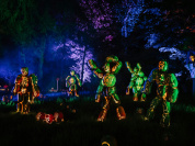 Sleepy Hollow Forest : une balade immersive et nocturne dans un jardin remarquable en région parisienne