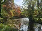 Découvrez le jardin privé d'un centre spirituel à Versailles pour les Rendez-Vous aux Jardins 2026