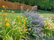 Créez votre " Parfum d'âme" lors d'un atelier champêtre pour les Rendez-Vous aux Jardins 2026 