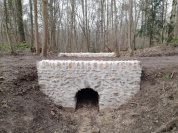 Bois de Chaville