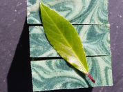 Vegan Mania : L'antre du cosmétique Vegan