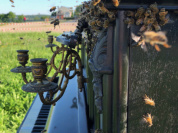Exposition Jardin de mémoires au domaine de Saint-Germain-en-Laye