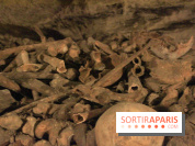 Les Catacombes de Paris