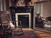 Ghost : l'escape game avec plein de fantômes chez L'Antichambre