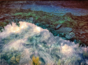 Lumière : l'exposition de Matthieu Ricard à la galerie Françoise Livinec