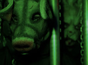 Halloween 2024 : plongez dans le gore dans un asile sanglant avec Asylum chez Koezio