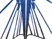 Hors Limites, l’exposition collective à la galerie Mémoire de l’Avenir