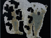 Espèces Menacées, l’exposition à la galerie Accueil de Montreuil