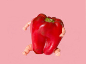 Hybrides, l'exposition à l'Espace Commines