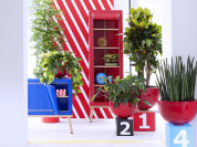 The Green Happiness, l'afterwork cosmétique pour les hommes qui aiment les plantes vertes