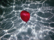 Total Baumann, les deux expositions au Showroom du Marais et à la galerie Corinne Bonnet