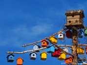 Rêves d’avenir, l'exposition au CESE