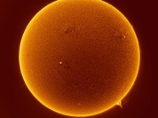 Exposition "Khépri, Sorti au Jour" : Félicie d'Estienne d'Orves à l'Abbaye de Maubuisson