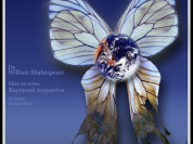 Le songe d'une nuit d'été