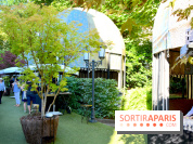 La terrasse cachée du Saint-James