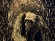 Exposition Antoine Bertrand