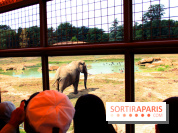 Camion Safari : une visite guidée dans les coulisses de Thoiry