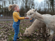 Malowe Nature, ferme en permaculture et étangs de pêche : nouveautés 2024