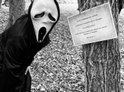 Halloween 2026 à Malowe Nature : chasse aux sorcières en famille à Rosay