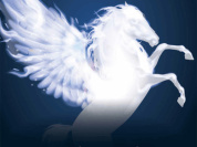 Quintessence, le spectacle du cirque Alexis Gruss