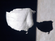 Massimiliano Pugliese, Sebastiaan Franco et Derrick Tracy à la Galerie du Hérisson