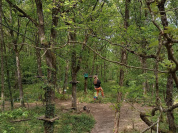 Le Parcours Lémuriens à Champagne sur Seine