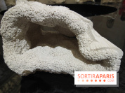 Un monde de plis à la chapelle Expiatoire