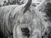 Fred Calmets - Passeur d'âmes