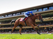 Qatar Arc Trials à l'Hippodrome Paris Longchamp 
