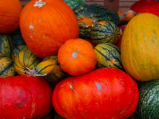 Vente solidaire de courges à prix libre chez Zone Sensible, Saint-Denis (93)