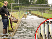 Fête de la Gastronomie 2018 à Méry-sur-Oise
